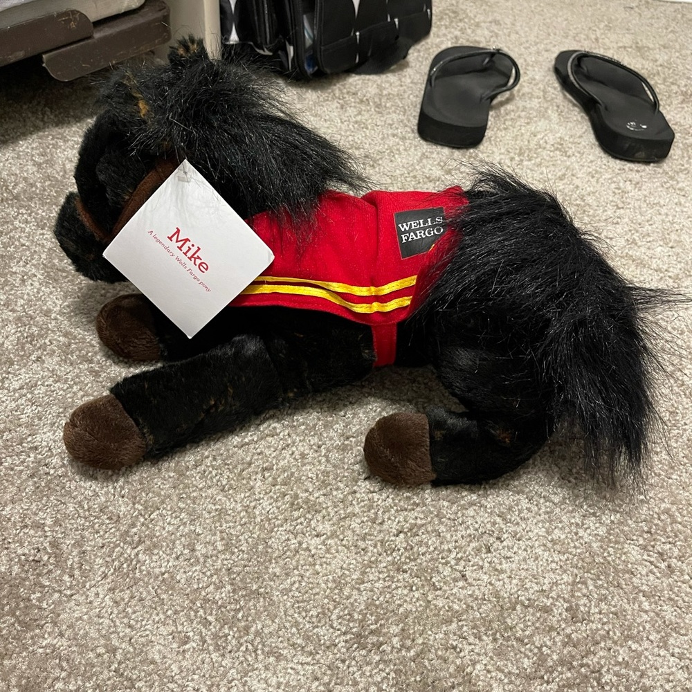 Wells Fargo Mike Pony